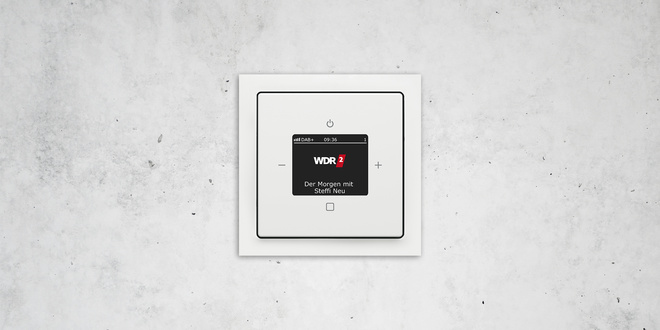Busch-Radio DAB+ bei MS Elektro Seiler GmbH&Co.KG in Braunichswalde