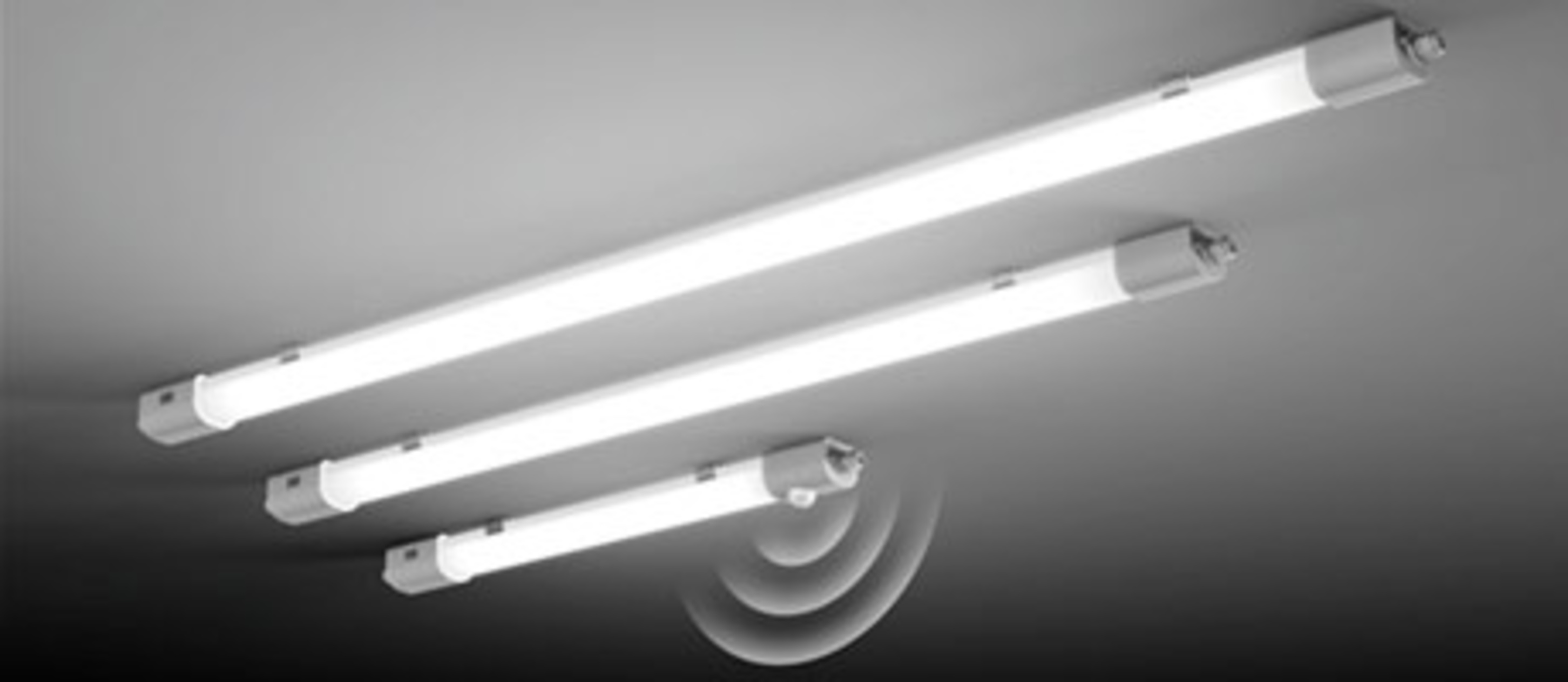 Planox Feuchtraumleuchten bei MS Elektro Seiler GmbH&Co.KG in Braunichswalde